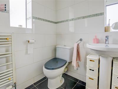 Picture 16